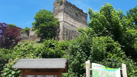 Burg mit Infotafeln | © Romantischer Rhein Tourismus GmbH