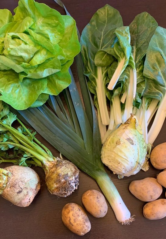 8 | © Katringer Grünzeug eG 8 | © Katringer Grünzeug eG