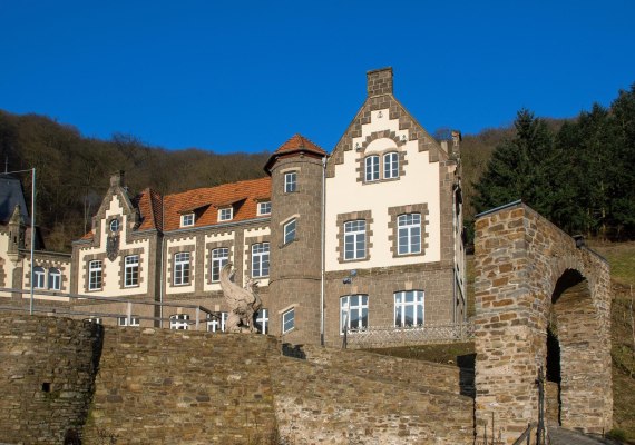 Burg Brohleck | &copy; Friedrich Gier