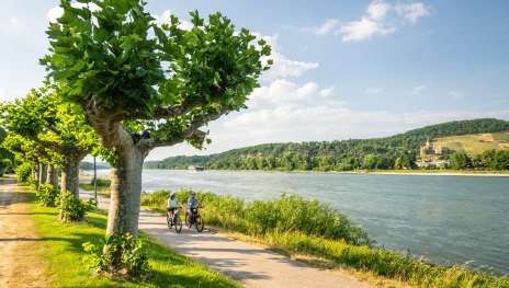 Rheinradweg bei Bad Breisig | &copy; Dominik Ketz, Romantischer Rhein Tourismus GmbH