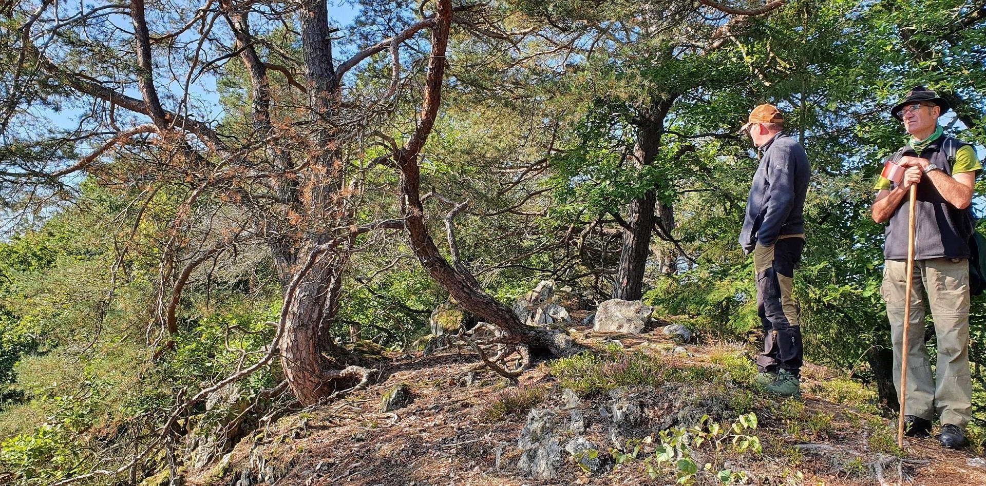 Wanderwarte am Kleinm&ouml;dersnack | &copy; T. Biersch