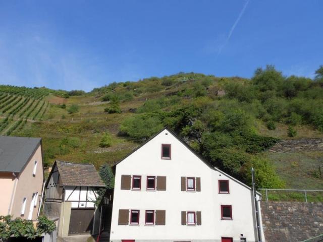 Blick auf die Weinberge vor dem Haus | &copy; Carola Lanius