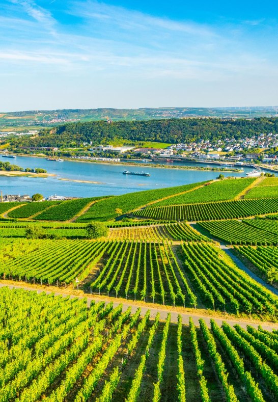 iStock-1140711426 | © © 2025 LaBed