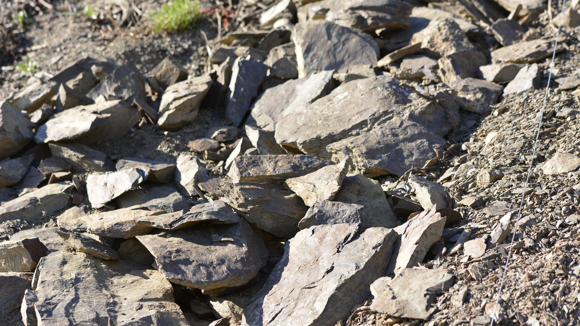 Schiefer & W&uuml;rze | &copy; Weingut Toni Lorenz