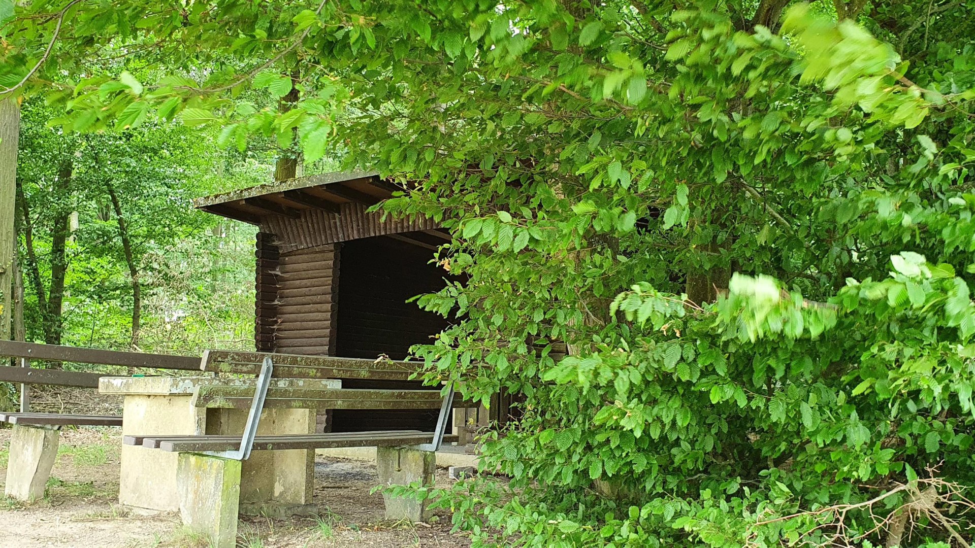 Thiergartenhütte | © T. Biersch Thiergartenhütte | © T. Biersch