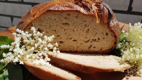 Holunderbrot | &copy; Verbandsgemeindeverwaltung Wei&szlig;enthurm