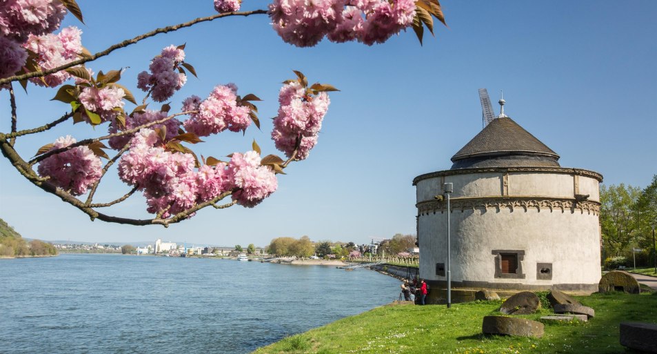 Alter Krahnen Frühling | © 90 Grad Photography/Hilger& Schneider GbR Alter Krahnen Frühling | © 90 Grad Photography/Hilger& Schneider GbR