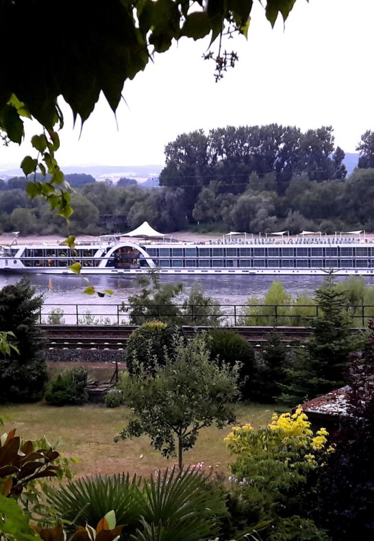 Rheinsicht | &copy; Familie Volk