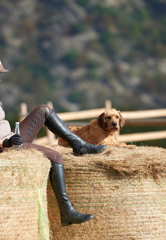 Hof.Hardth&ouml;he.Reiten.Pausenzeiten2 | &copy; Hof Hardth&ouml;he
