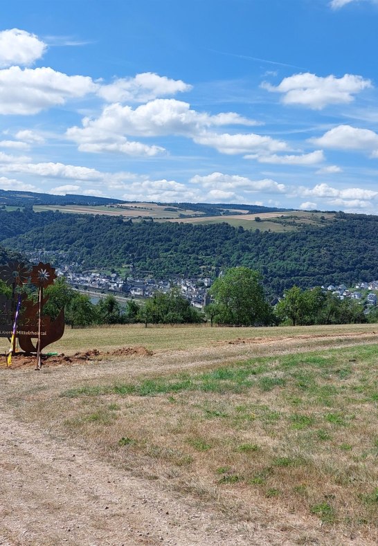 Buga-Blume mit Fernsicht | &copy; T. Biersch