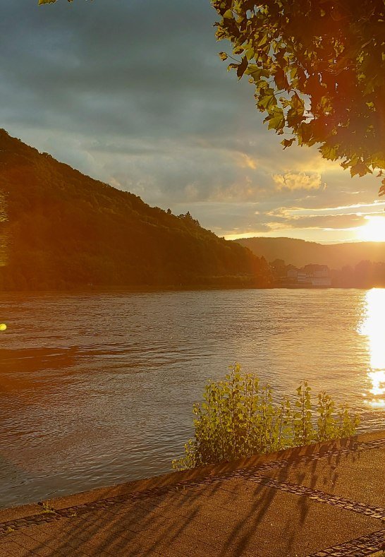 Rheinufer vor Haus Rheingl&uuml;ck | &copy; Heimes