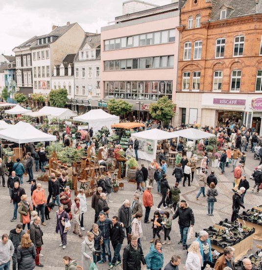 Gartenmarkt Luisenplatz | &copy; Zimpfer