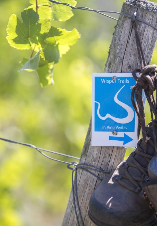 Wanderschuhe,Wisper Trail Lorch_ In vino veritas, | &copy; M. Igel, Hotel im Schulhaus