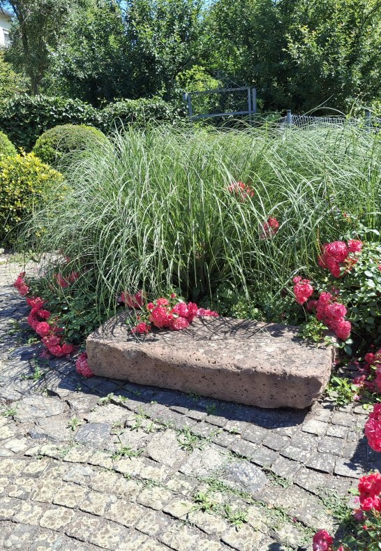 Pfarrgarten II | &copy; RNT, Simone Bohr