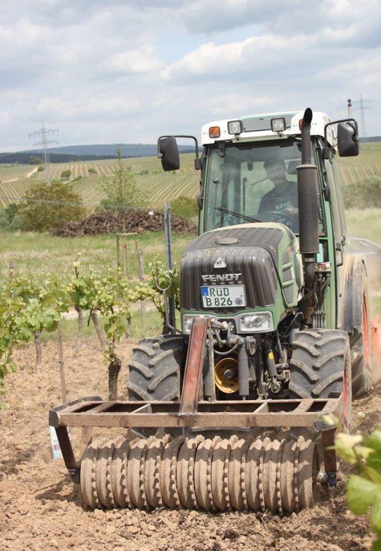 Au&szlig;enbetrieb Einsaat | &copy; Weingut Hans Bausch