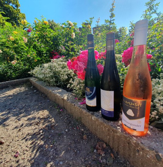 Weinprobe_Zwinger_KF_Burg_Rosen_Sommer_2023 (16) | &copy; Stadt Eltville am Rhein