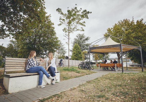 Bank | &copy; Tourist-Info Erlebnis Rheinbogen