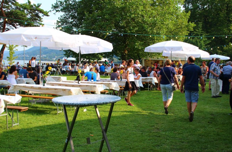 Sommernacht am Rhein | &copy; RNT