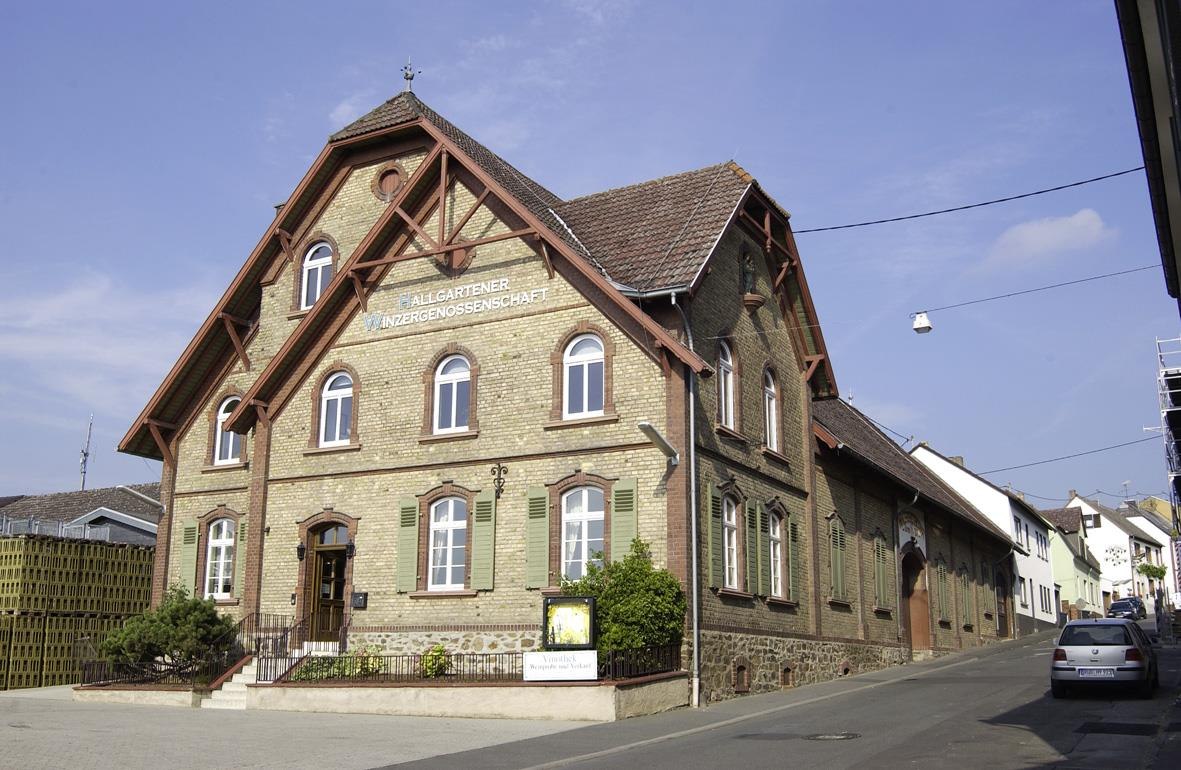 Hallgartener Winzer | &copy; Hallgartener Winzer