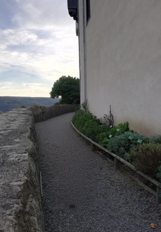 Botanischer Garten | &copy; Birgit Biller