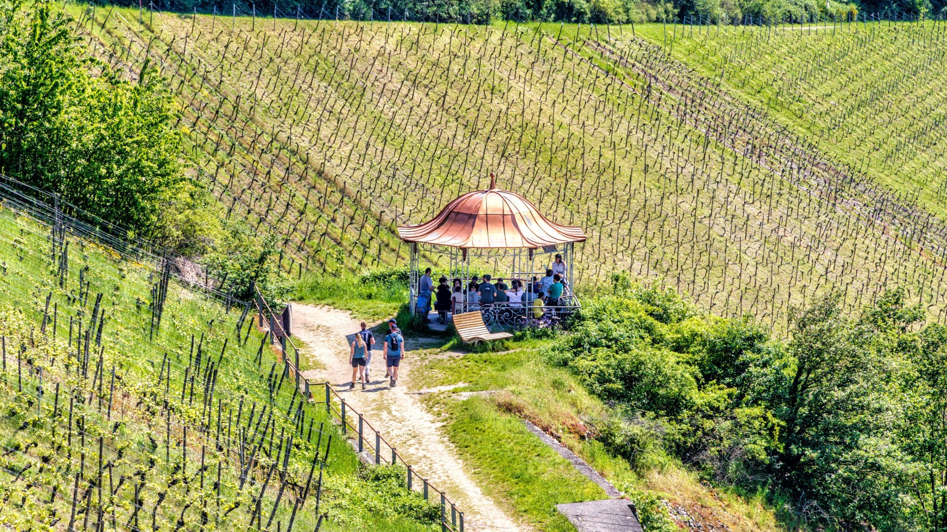 Rotweinlaube in Assmannshausen | &copy; Marlis Steinmetz