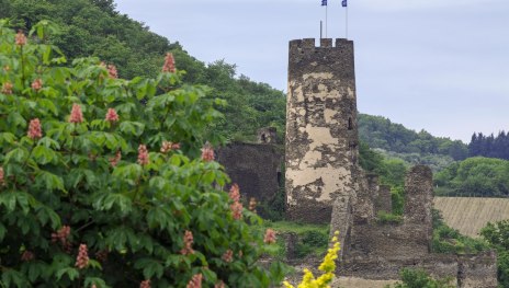 Fürstenberg im Frühjahr | © Friedrich Gier Fürstenberg im Frühjahr | © Friedrich Gier