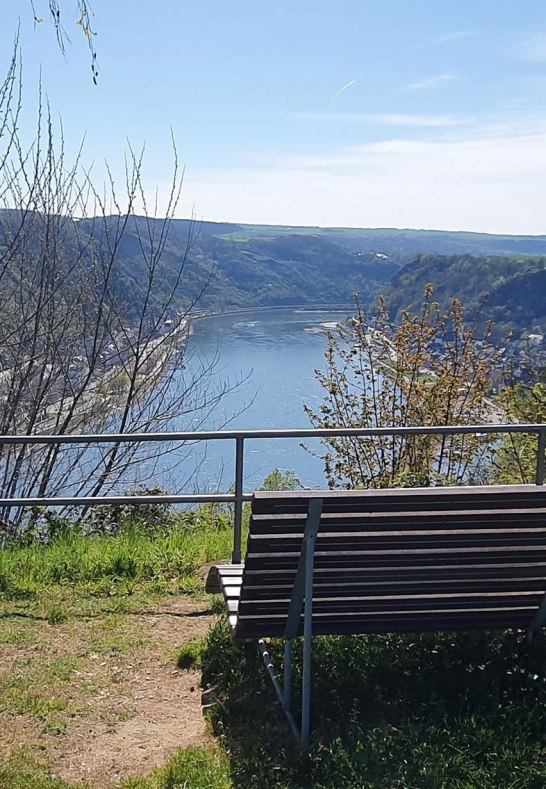 Ruhebank am Werlauer Pilz | &copy; T. Biersch