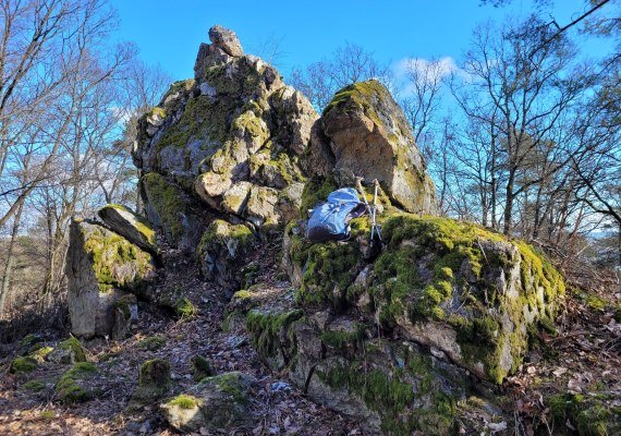 Kuckucksnacks a | © E. Bender Kuckucksnacks a | © E. Bender