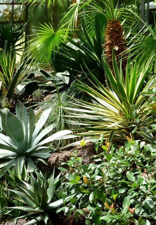 Garten 4 | &copy; Familie Volk