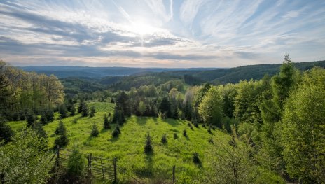 Aussicht vom Limesturm 1/9 | &copy; Andreas Pacek, fototour-deutschland.de, Mittelrhein