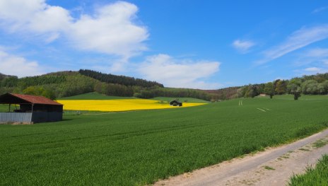 Rundwanderwege Andernach-Eich Variante gelb | &copy; Tourist-Information Andernach, Unbekannt