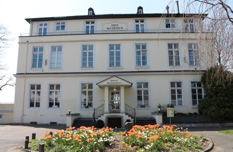 Bucheneck1 | &copy; Caroline Fritzen