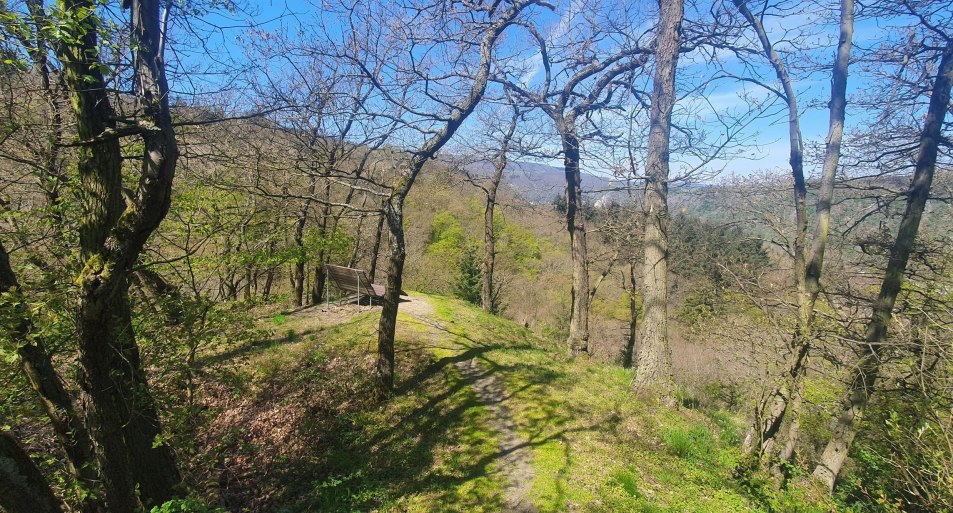 Aussichtspunkt Wallertskopf | &copy; T. Biersch