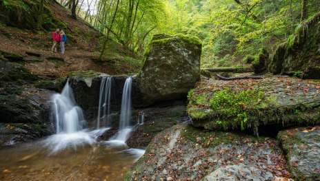 Traumschleife Ehrbachklamm | © Tourist Information Boppard, Romantischer Rhein Tourismus GmbH Traumschleife Ehrbachklamm | © Tourist Information Boppard, Romantischer Rhein Tourismus GmbH
