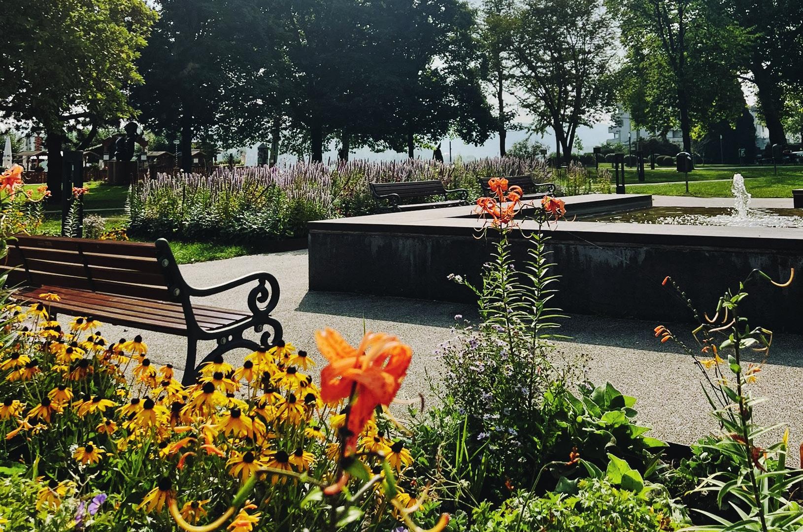 Kurpark 01 | &copy; Hack