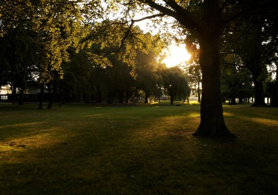 Hafenpark Sonnenstrahl | © FVG Rüdesheim Hafenpark Sonnenstrahl | © FVG Rüdesheim