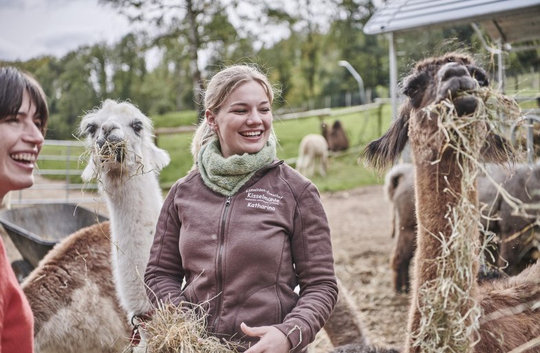 F&uuml;tterung Lamas und Alpakas | &copy; HA Hessen Tourismus, Roman Knie
