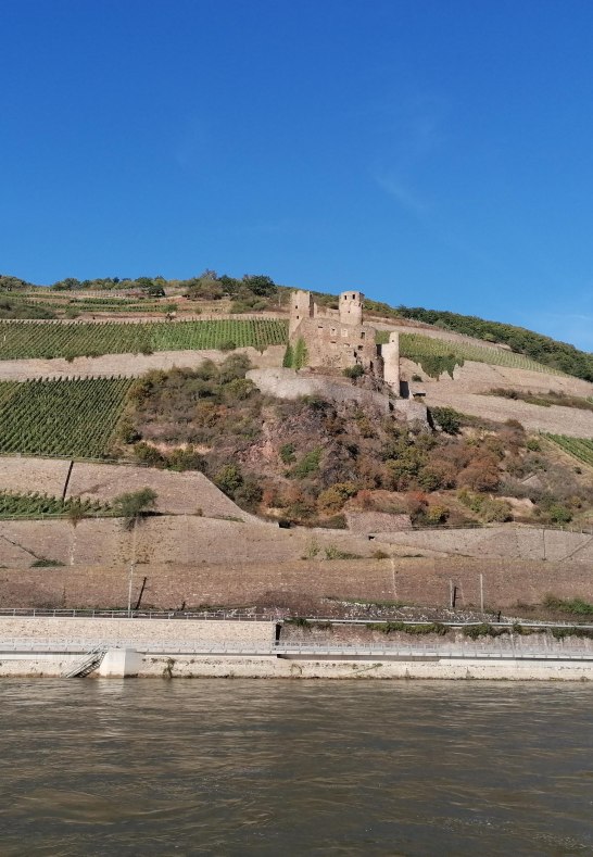 Ehrenfels | © Anja Wegschimmel/Romantischer Rhein Tourismus GmbH Ehrenfels | © Anja Wegschimmel/Romantischer Rhein Tourismus GmbH