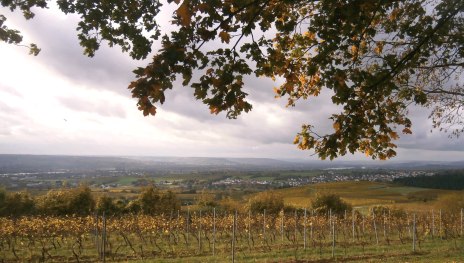 Rauenthaler Spange | &copy; Joachim Fox, Bauamt Stadt Eltville