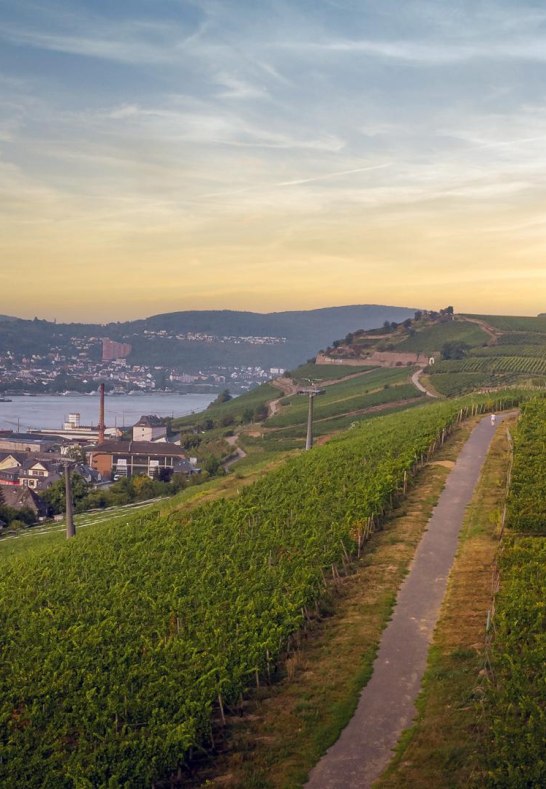 Luftbild (3) | © Thomas Weinsheimer