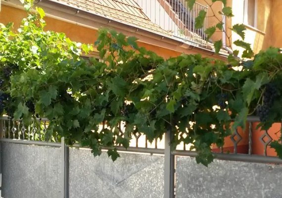 Eingang | &copy; Krick