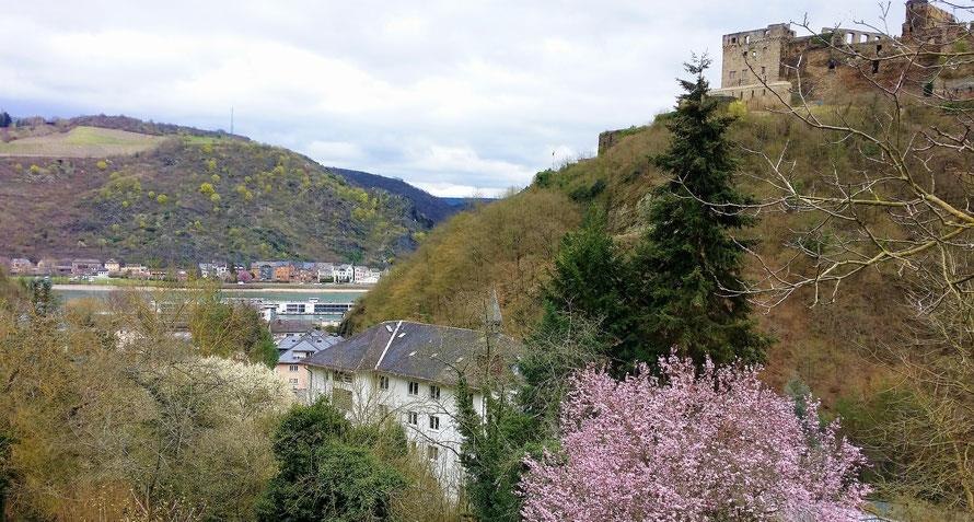 Ausblick | &copy; Pister