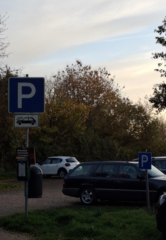 20241022_181005 | &copy; Daniela Herrmann