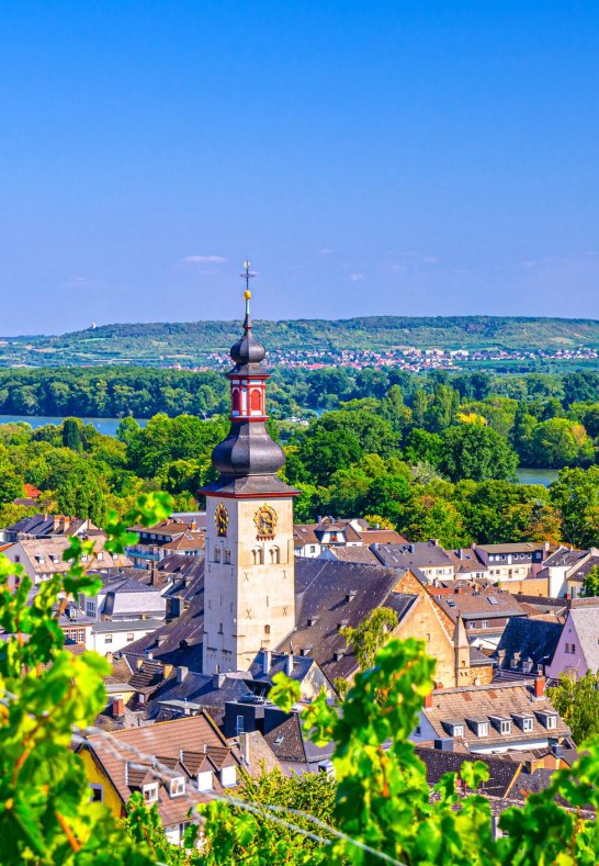 iStock-1254860541 - Kopie | &copy; iStock