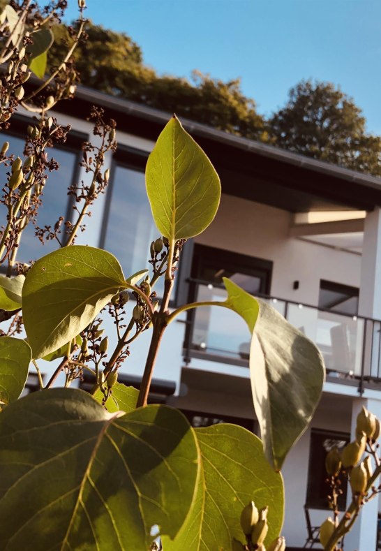 Hausansicht_ | &copy; Hinrichsen