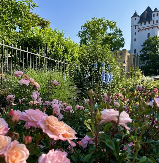 Kurf&uuml;rstliche Burg | &copy; Stadt Eltville am Rhein