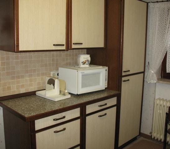 K&uuml;che mit Mikrowelle | &copy; Ross