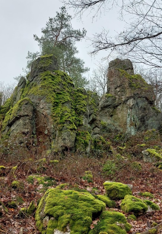 Kuckucksnacks e | © T. Biersch Kuckucksnacks e | © T. Biersch