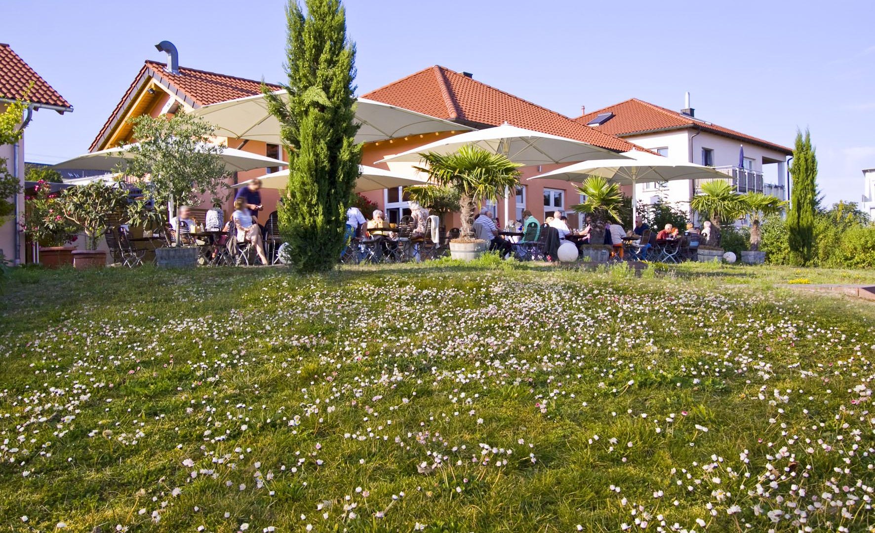 Weingut H&ouml;hn | &copy; Weingut H&ouml;hn