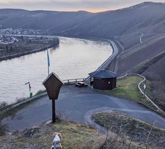Mandelsteinhütte mit Hund | © Tourist Information Mandelsteinhütte mit Hund | © Tourist Information
